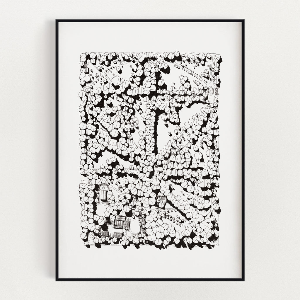 FITZROY GARDENS 3002