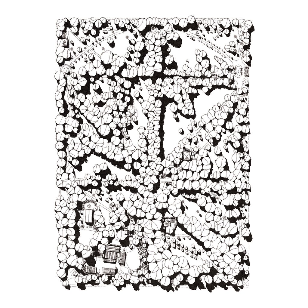 FITZROY GARDENS 3002