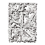 FITZROY GARDENS 3002